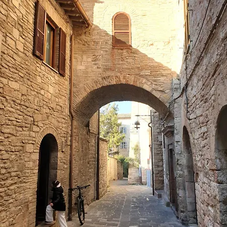 Meccoli